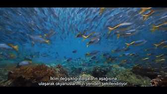 Building Resilience Together