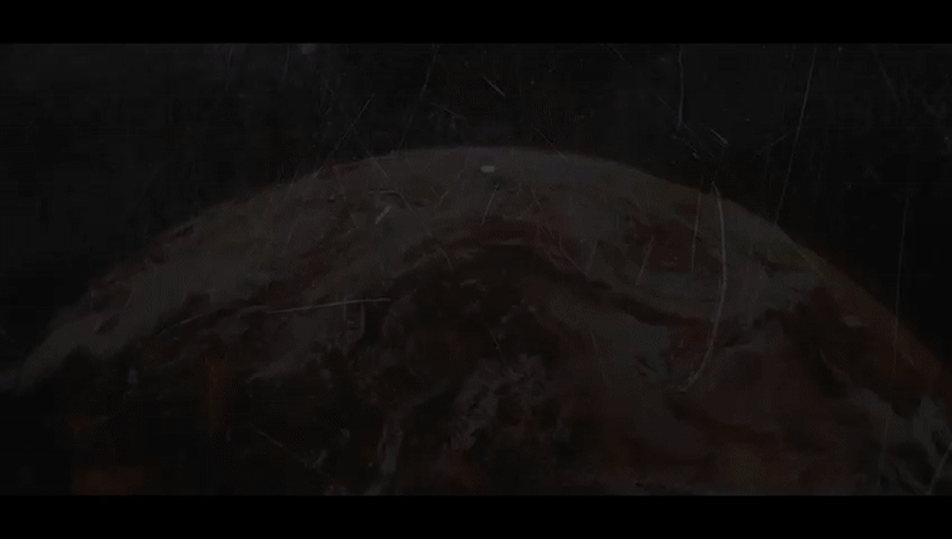 What We Do for the Mediterranean Climate